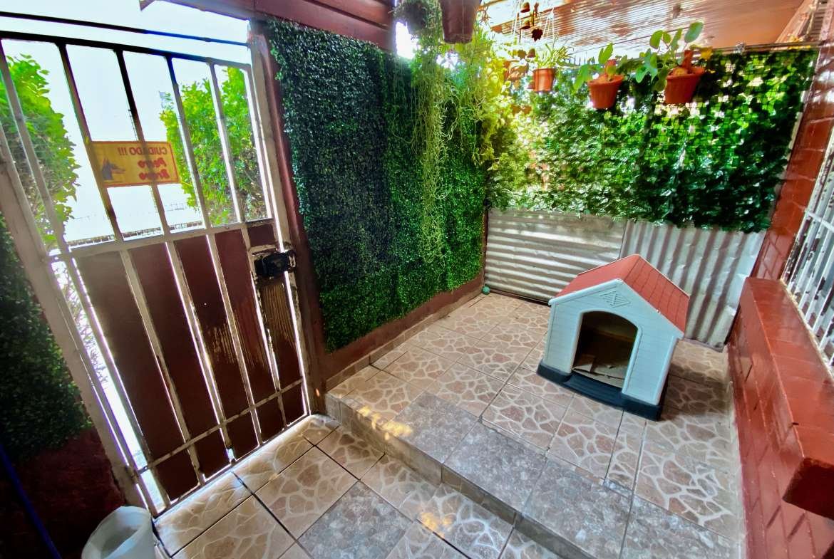 Antejardín con plantas y casa de perro