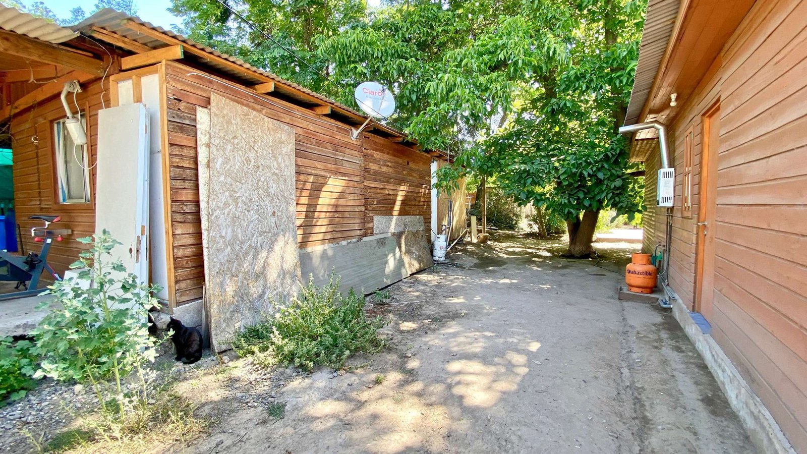 Casa de madera y forestación